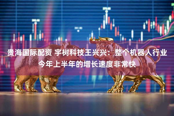 贵海国际配资 宇树科技王兴兴：整个机器人行业今年上半年的增长速度非常快
