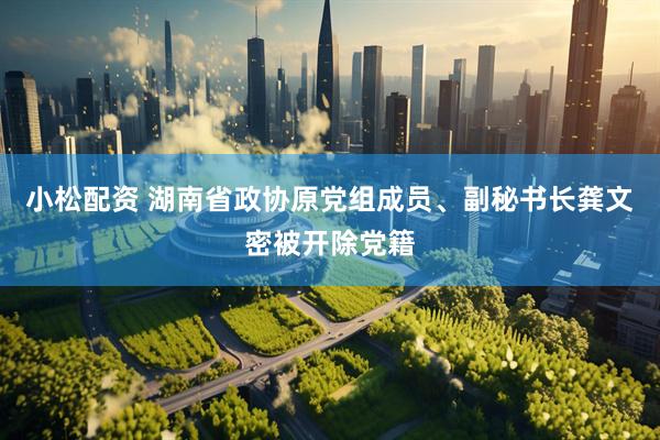 小松配资 湖南省政协原党组成员、副秘书长龚文密被开除党籍