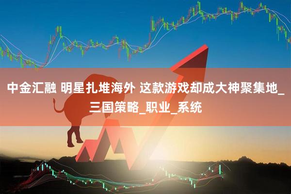 中金汇融 明星扎堆海外 这款游戏却成大神聚集地_三国策略_职业_系统