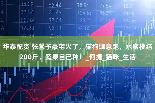 华泰配资 张馨予豪宅火了，猫狗肆意跑，水蜜桃结200斤，蔬果自己种！_何捷_猫咪_生活