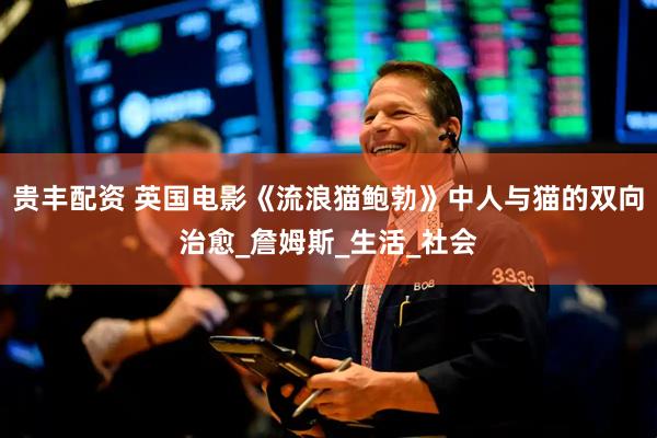贵丰配资 英国电影《流浪猫鲍勃》中人与猫的双向治愈_詹姆斯_生活_社会